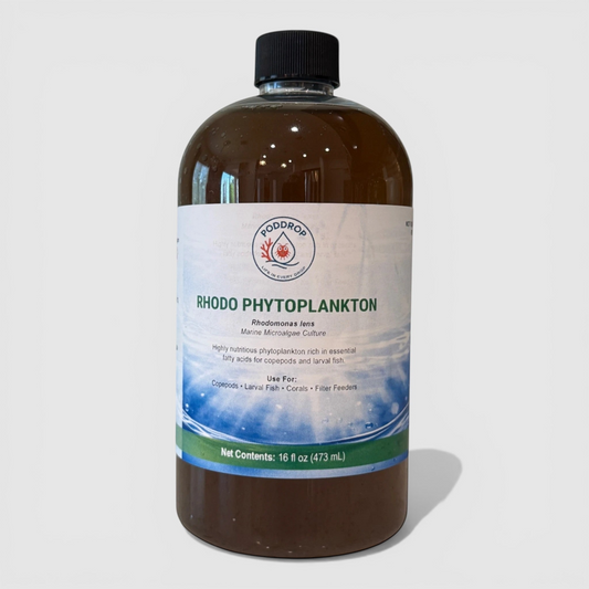 Ruby Rise – Triple Rhodomonas Microalgae Culture Pack - 16oz.