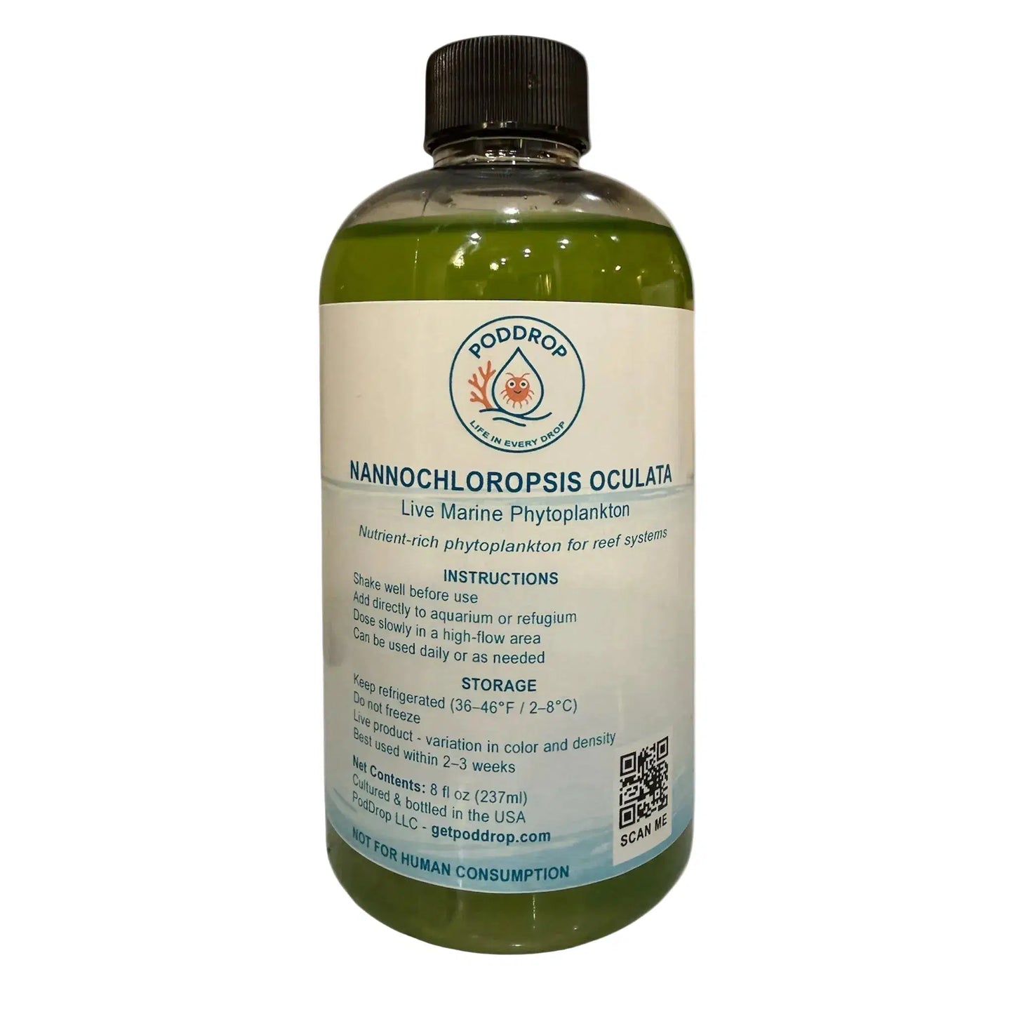 Nannochloropsis oculata live marine phytoplankton 8oz bottle for reef aquariums