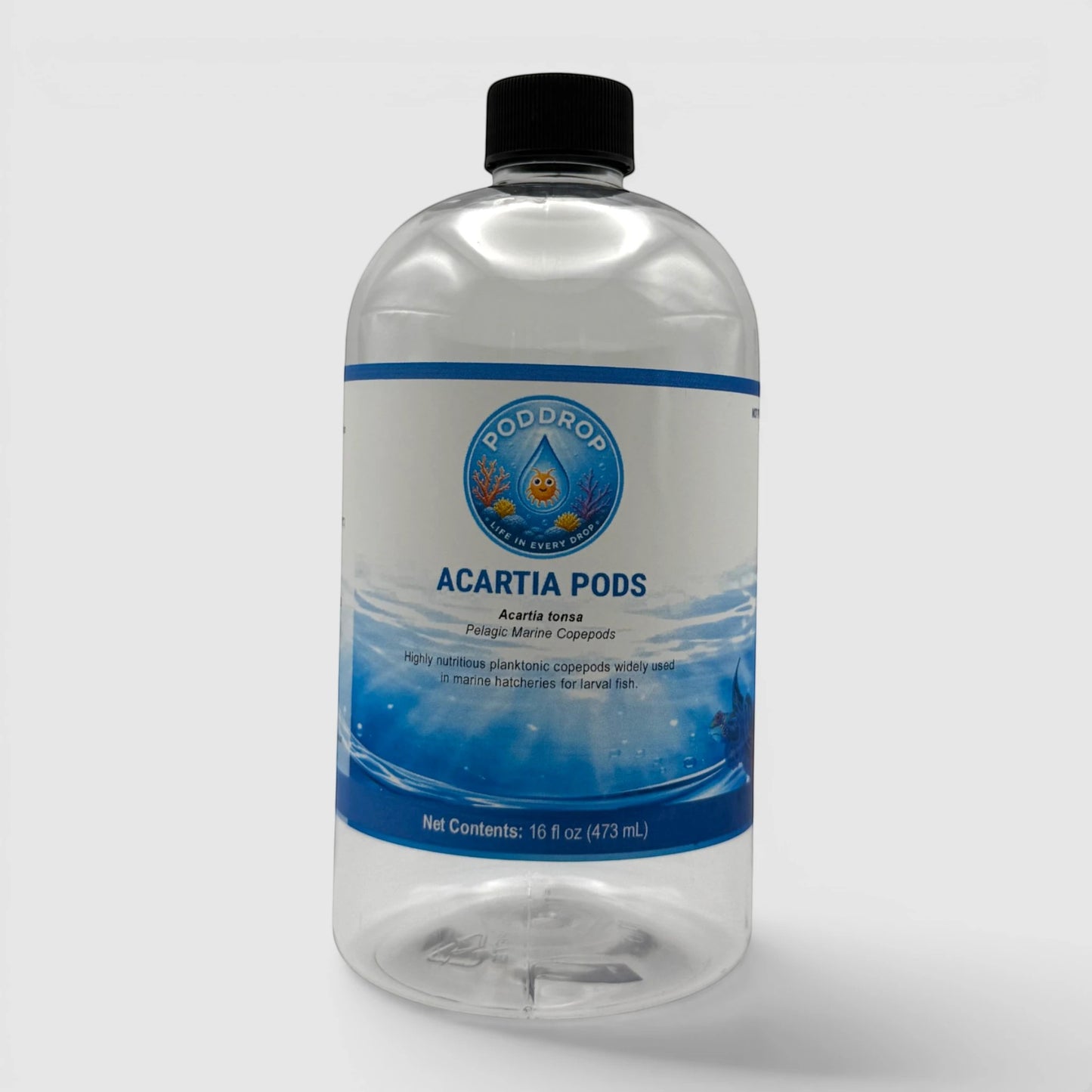 PodDrop Acartia tonsa pelagic marine copepods in a clear bottle, 16 fl oz.