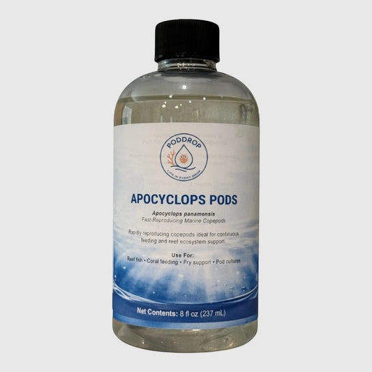 PodDrop Apocyclops Pods live marine copepods for reef fish, coral feeding, fry support, and pod cultures. 8 fl oz bottle.
