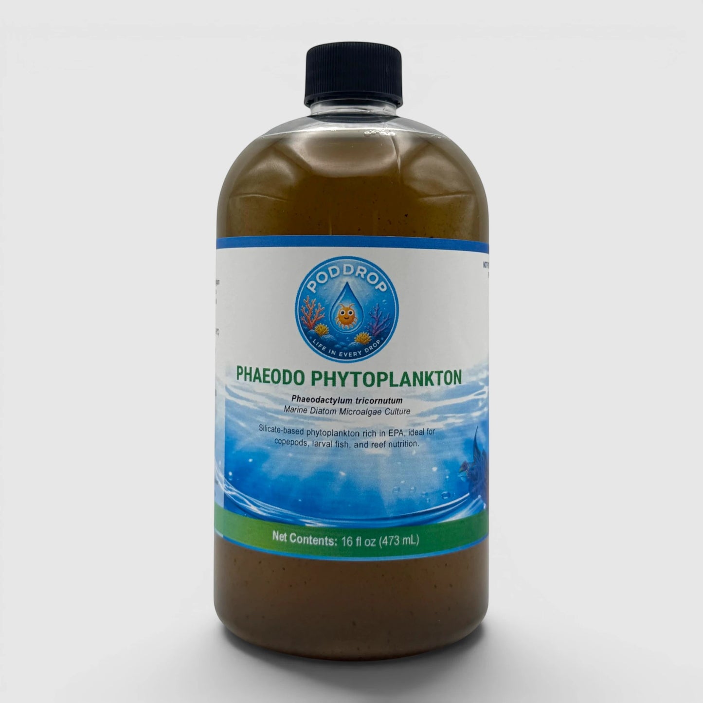 PodDrop Phaeodactylum tricornutum marine diatom microalgae culture, golden-brown liquid in a clear bottle.