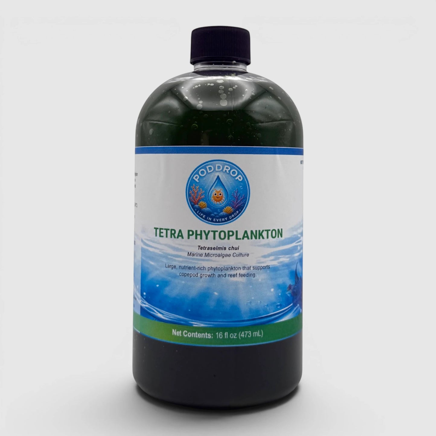 PodDrop Tetraselmis chui marine microalgae culture, a large, nutrient-rich phytoplankton for reef feeding.