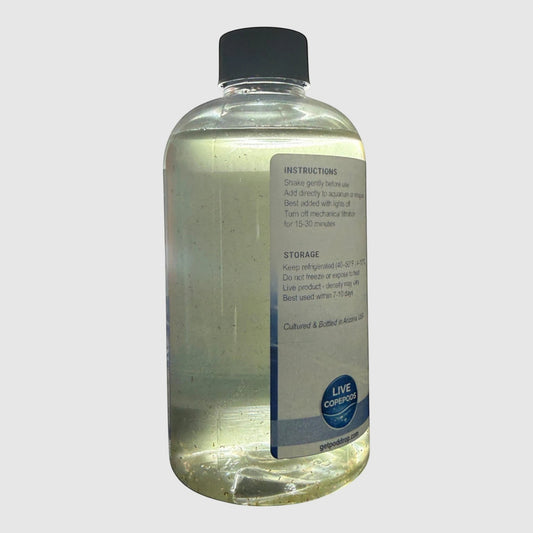 PodDrop Here Tigriopus californicus live copepods in a clear bottle with a black cap, showing red-orange copepods suspended in liquid.