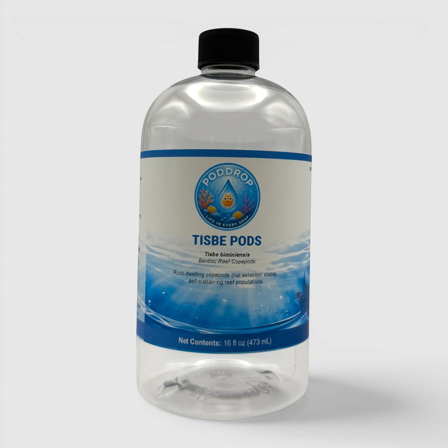 PodDrop Tisbe biminiensis copepods in a 16 fl oz bottle, for reef aquariums. Benthic reef copepods.