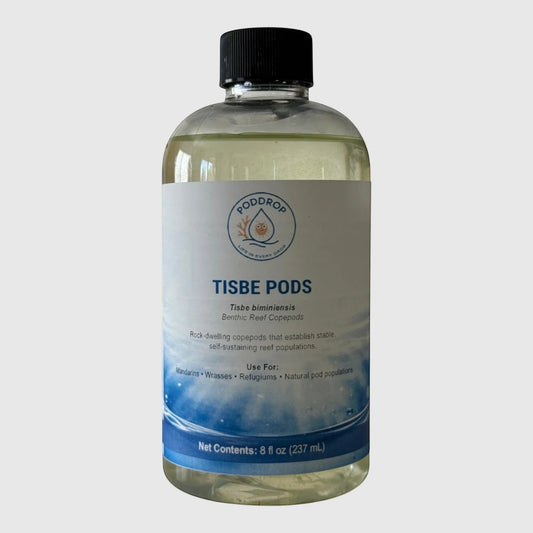 PodDrop Tisbe Pods live benthic reef copepods in a clear bottle with a blue and white label.