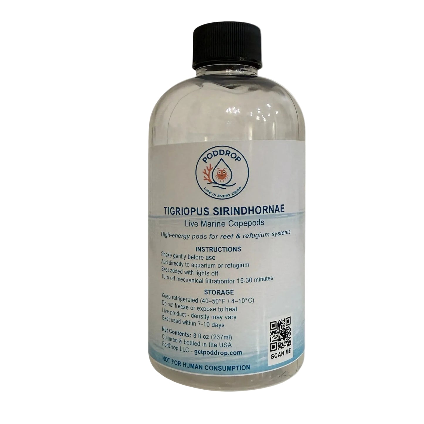 Tigriopus sirindhornae live marine copepods 8oz bottle with phytoplankton culture