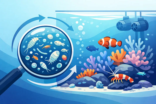 Microfauna Stability in Reef Tanks