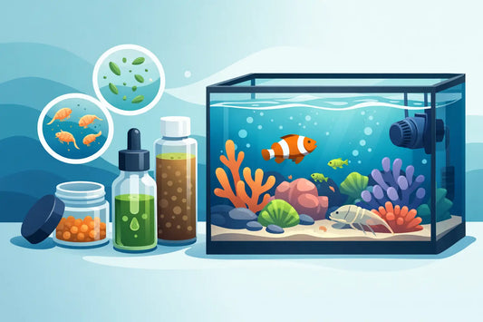Best Live Feeds for Reef Tanks