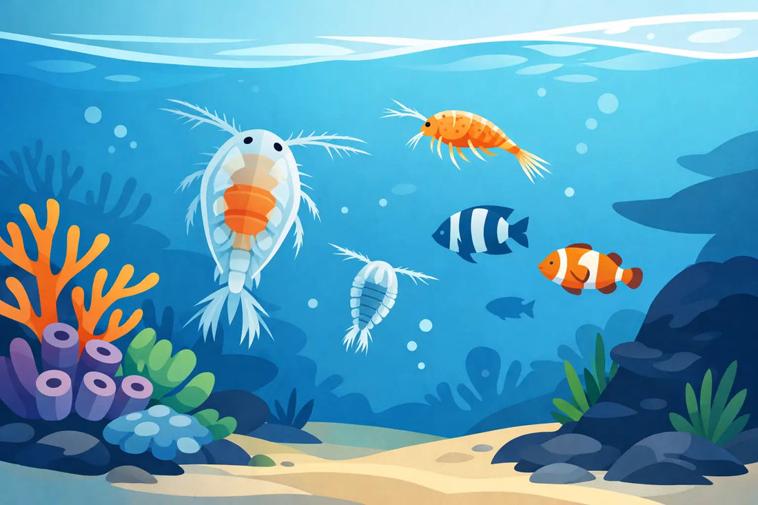 What Copepods Are Best for the Reef Tank?