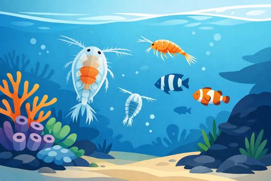 What Copepods Are Best for the Reef Tank?