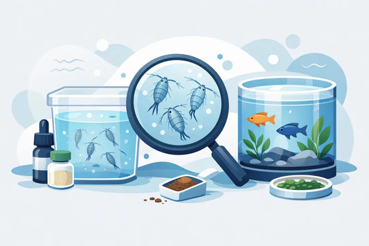 Live Copepod Starter Pack Review