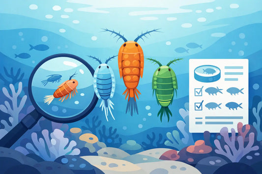 Copepod Species Selection Guide for Reefers