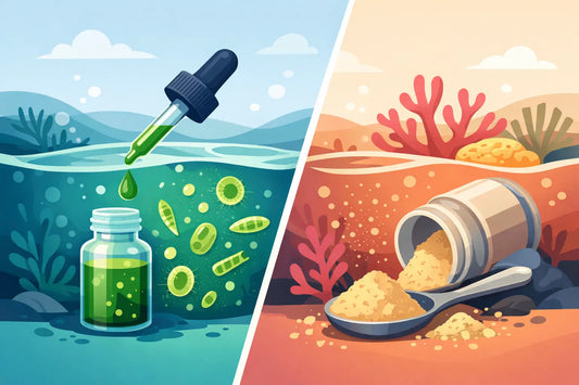 Phytoplankton Dosing vs Coral Food Powders