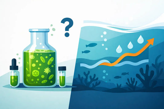 Does Live Phytoplankton Raise Phosphate?