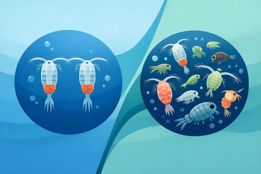 Single Species Versus Mixed Copepods