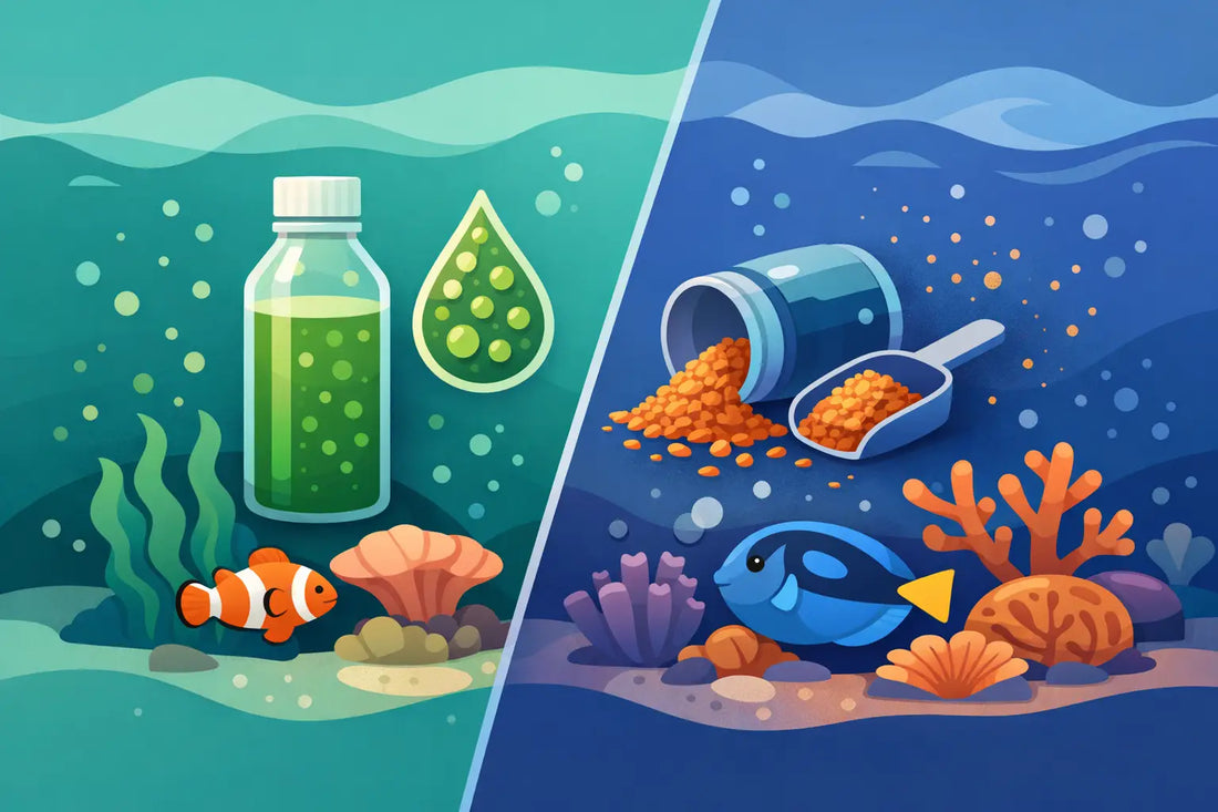 Live Phyto vs Dry Coral Food for Reef Tanks