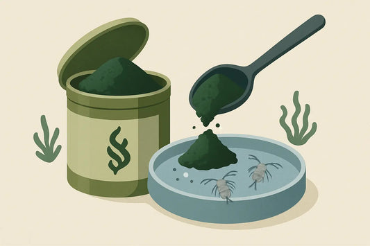 Spirulina Powder for Copepod Feeding: Worth It?