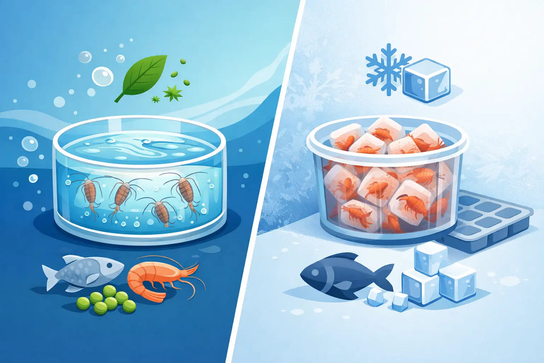 Live Copepods vs Frozen Copepods Nutrition