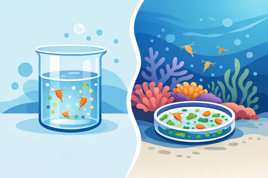 Carrier Water Versus Fed Cultures for Reef Pods