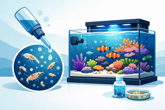 When Should I Add Live Pods to My Reef Tank?
