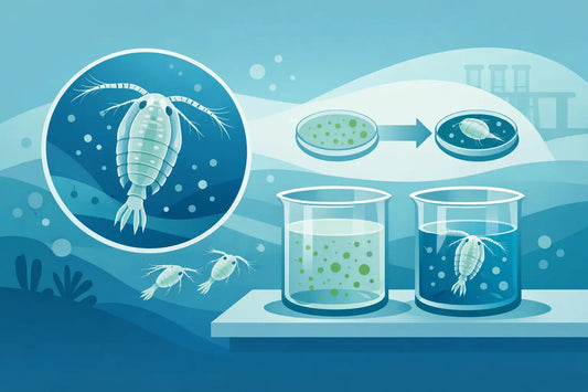 Case Study: Single Species Copepods Feeding Trial