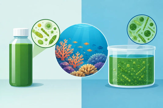 Bottled Phyto Versus Live: What Reefs Actually Use