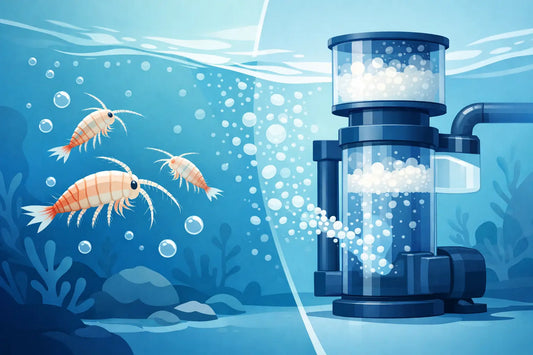 Do Copepods Get Removed by Protein Skimmer?