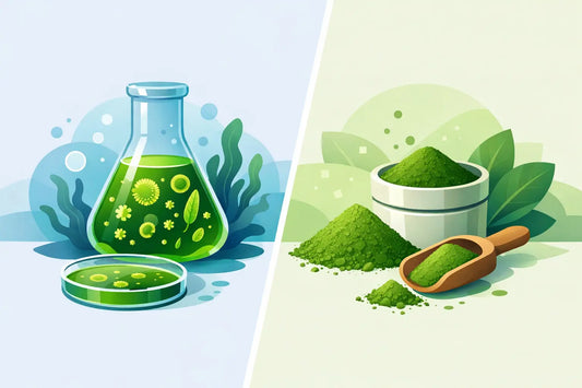 Live Phytoplankton vs Powdered Phytoplankton
