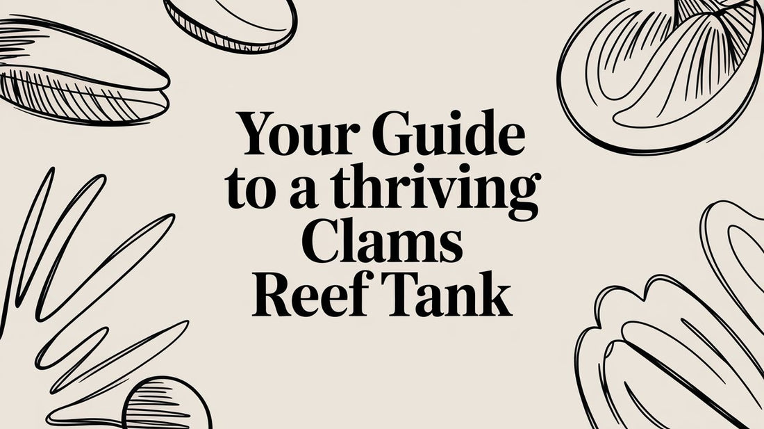 Your Guide to a Thriving Clams Reef Tank