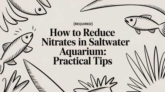 how to reduce nitrates in saltwater aquarium: practical tips