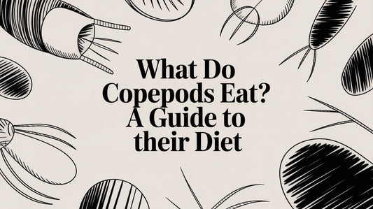 What Do Copepods Eat? A Guide to Their Diet