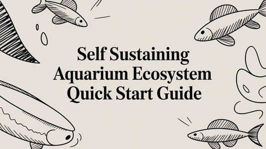 Self Sustaining Aquarium Ecosystem Quick Start Guide