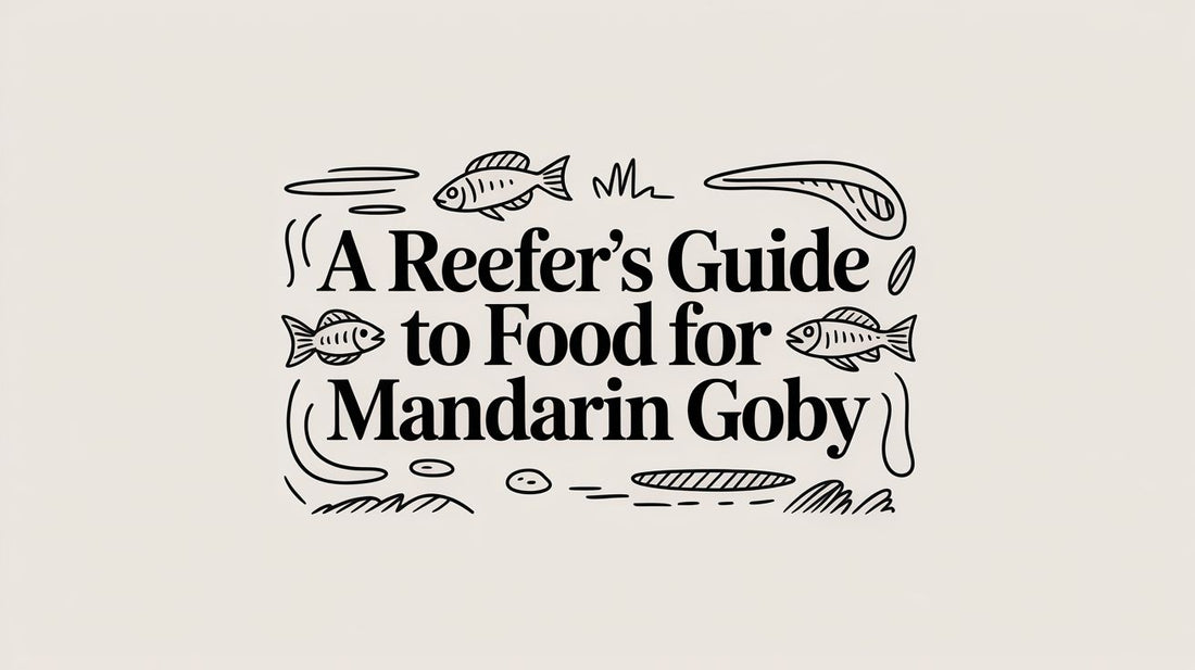 A Reefer's Guide to Food for Mandarin Goby