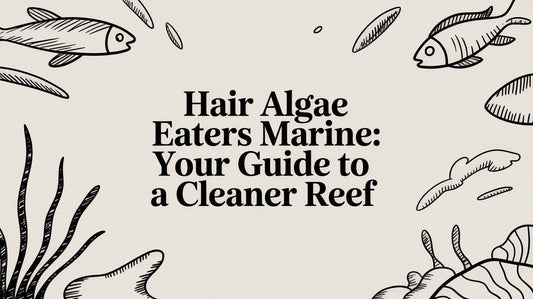 Hair Algae Eaters Marine: Your Guide to a Cleaner Reef