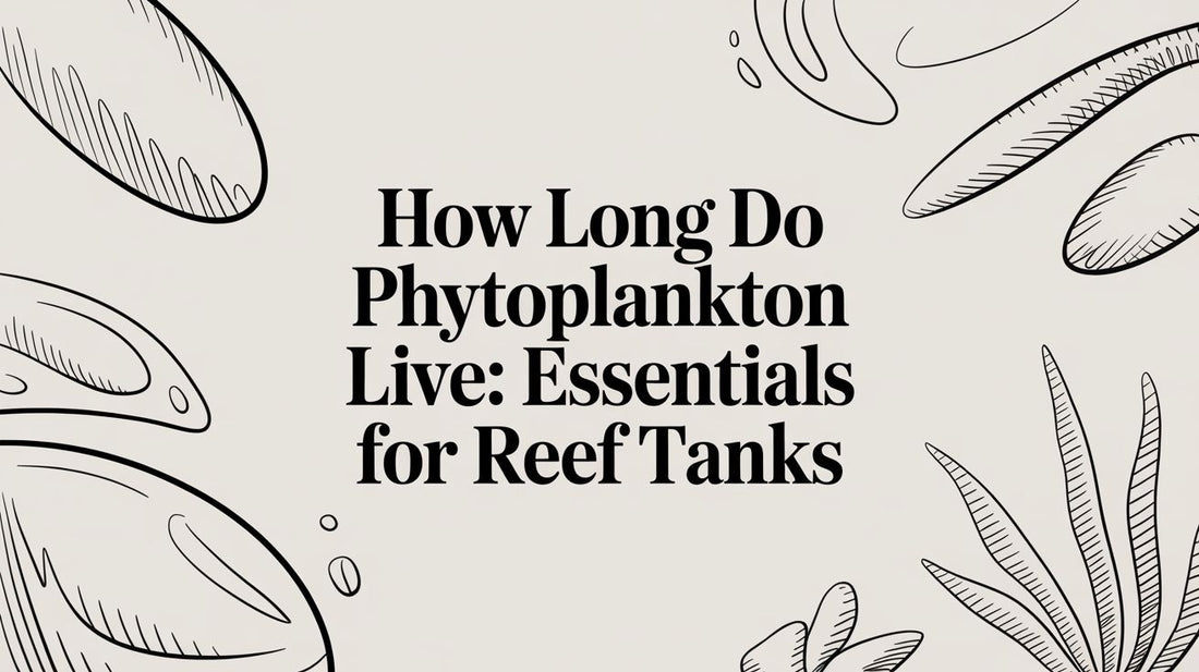 How long do phytoplankton live: Essentials for Reef Tanks