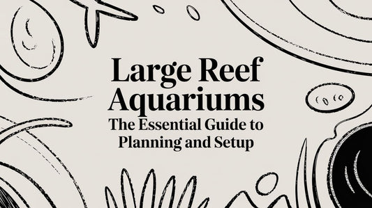 Large Reef Aquariums: The Essential Guide to Planning and Setup