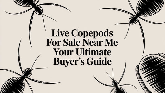 Live Copepods for Sale Near Me Your Ultimate Buyer's Guide