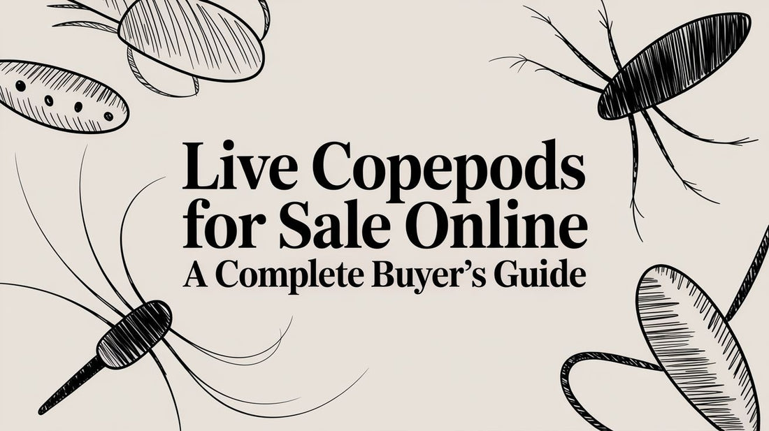 Live Copepods For Sale Online A Complete Buyer's Guide