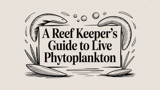 A Reef Keeper's Guide to Live Phytoplankton