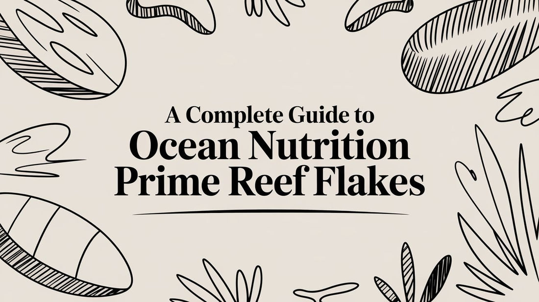 A Complete Guide to Ocean Nutrition Prime Reef Flakes