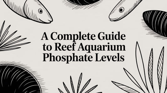 A Complete Guide to Reef Aquarium Phosphate Levels