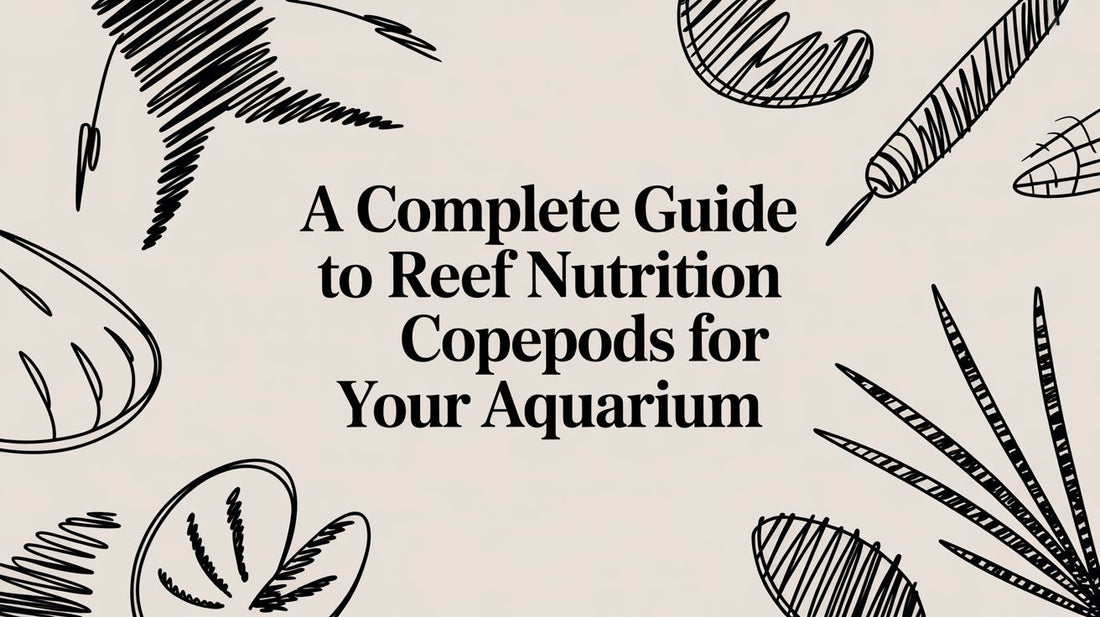 A Complete Guide to Reef Nutrition Copepods for Your Aquarium