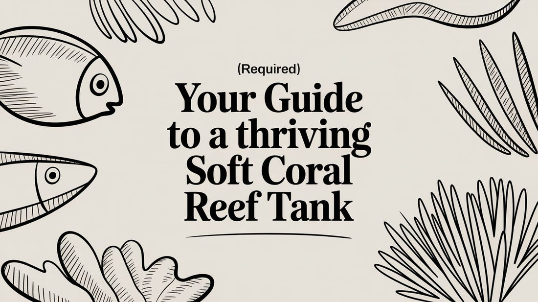 Your Guide to a Thriving Soft Coral Reef Tank