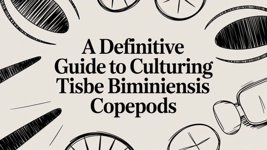 A Definitive Guide to Culturing Tisbe Biminiensis Copepods