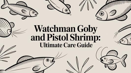 watchman goby and pistol shrimp: Ultimate Care Guide