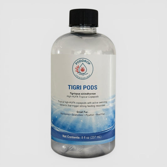 Tigriopus sirindhornae Copepods