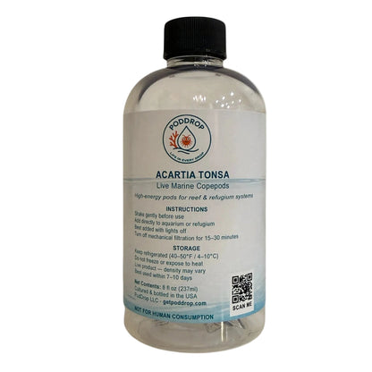 Acartia tonsa live marine copepods 8oz bottle with phytoplankton culture