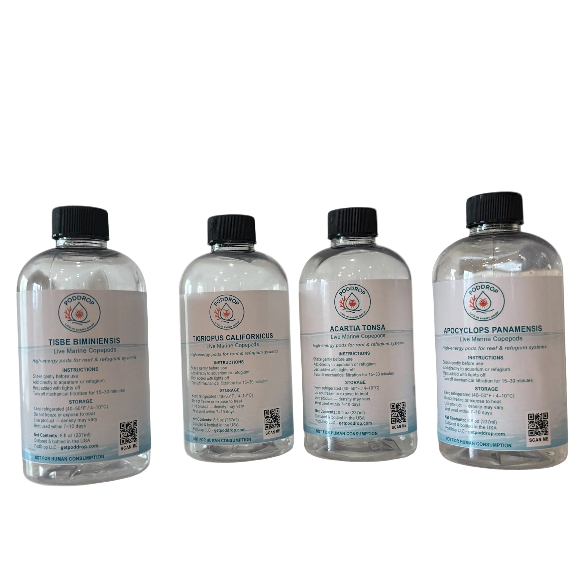 Four Corners Foundation Bundle 8oz - essential live copepods and phytoplankton starter pack for reef aquariums