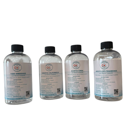 Four Corners Foundation Bundle 8oz - essential live copepods and phytoplankton starter pack for reef aquariums