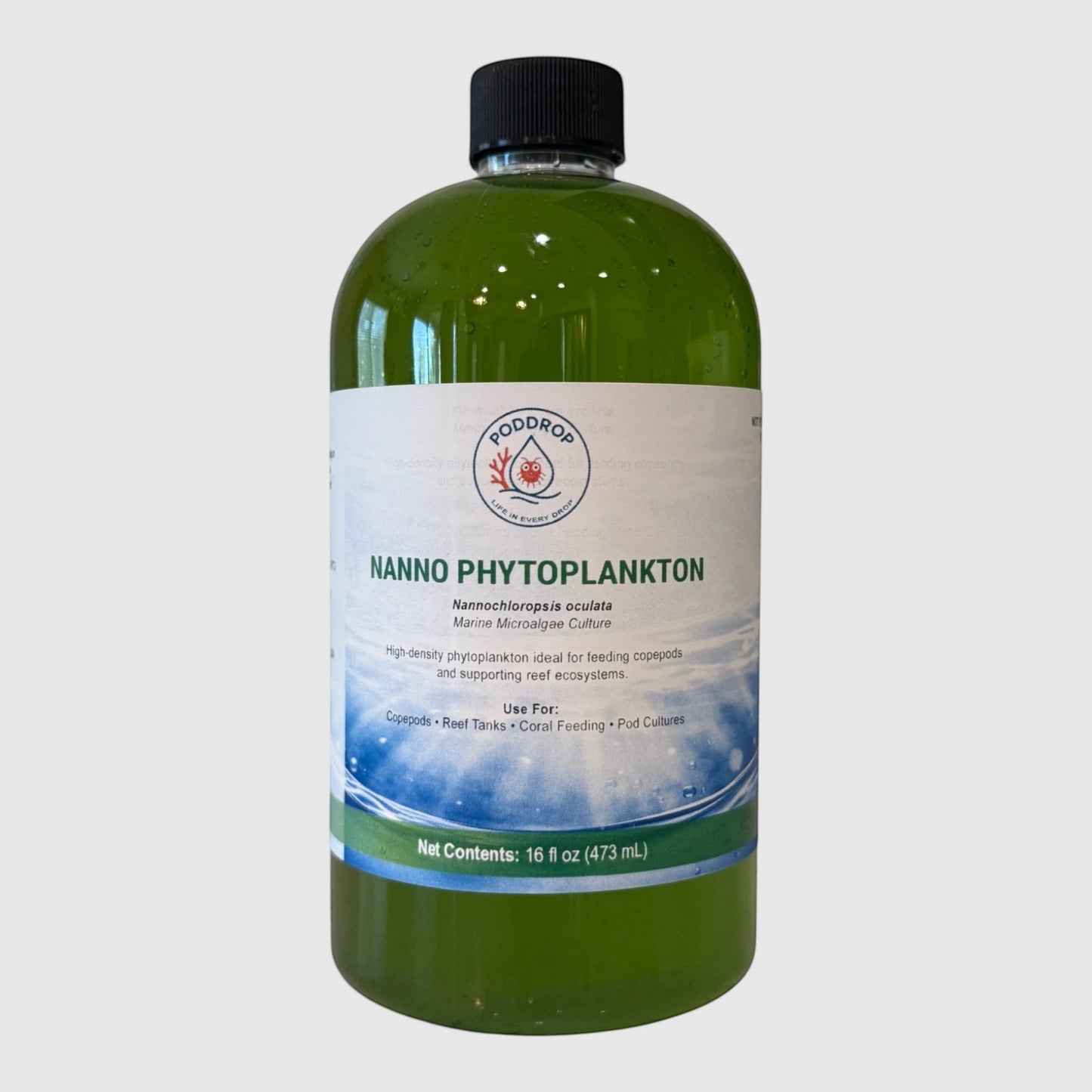 Nannochloropsis oculata Live Phytoplankton